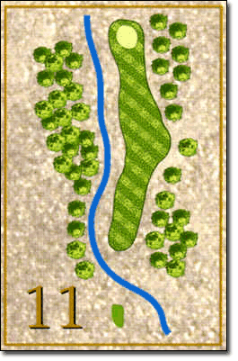 11