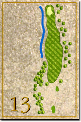 13