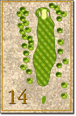 14