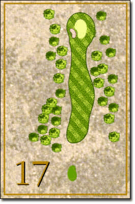 17